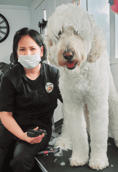 park-and-bark-ria-intro